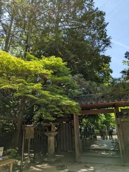 宇治上神社(京都府)