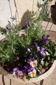 寿量山 速成寺の庭園(2020年03月06日(金) 15時45分40秒投稿)