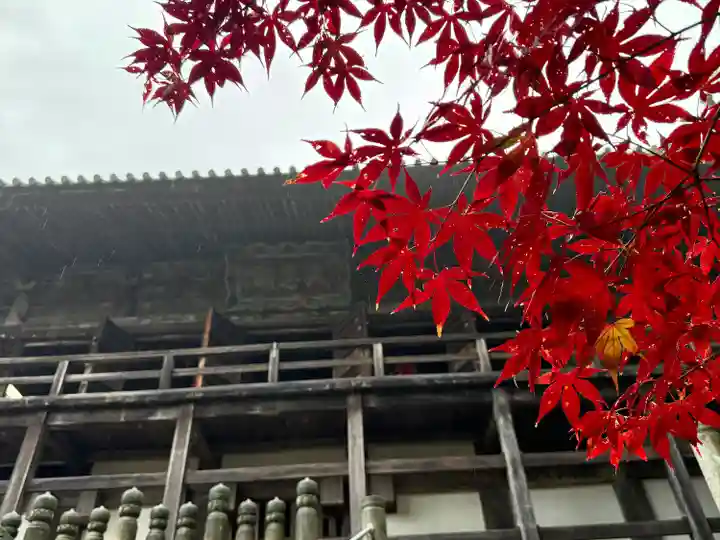 一乗寺(兵庫県)