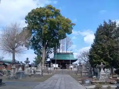 竹鼻八剱神社(八剣神社)(岐阜県)