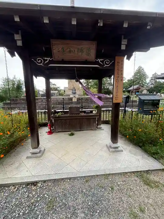 般若寺 ❁コスモス寺❁(奈良県)