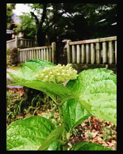 石刀神社の自然