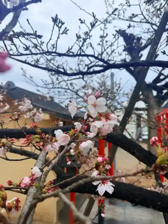 舞子六神社/まいこむの宮の{uncategorized: "未分類", other: "その他", undefined: "問題あり", building: "その他建物", grave: "お墓", sacred_gate: "鳥居", guardian: "狛犬", statue: "像", buddha: "仏像", history: "歴史", nature: "自然", garden: "庭園", animal: "動物", pagoda: "塔", temizu: "手水舎", mountain_gate: "山門・神門", sanctuary: "本殿・本堂", subordinate: "末社・摂社", art: "芸術", scenery: "景色", jizo: "地蔵", ema: "絵馬", goshuin: "御朱印", omikuji: "おみくじ", items: "授与品その他", amulet: "お守り", goshuincho: "御朱印帳", eats: "食事", festival: "お祭り", votive_dance: "神楽", shichigosan: "七五三参", wedding: "結婚式", experience: "体験その他", initially: "初詣", around: "周辺", anti_infection: "感染症対策"}
