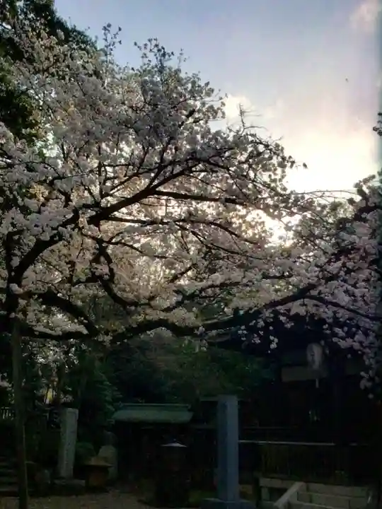 龍光寺(東京都)