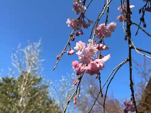 浄土院(京都府)