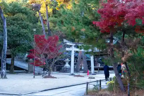 今宮神社の庭園