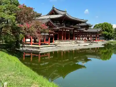 平等院の{uncategorized: "未分類", other: "その他", undefined: "問題あり", building: "その他建物", grave: "お墓", sacred_gate: "鳥居", guardian: "狛犬", statue: "像", buddha: "仏像", history: "歴史", nature: "自然", garden: "庭園", animal: "動物", pagoda: "塔", temizu: "手水舎", mountain_gate: "山門・神門", sanctuary: "本殿・本堂", subordinate: "末社・摂社", art: "芸術", scenery: "景色", jizo: "地蔵", ema: "絵馬", goshuin: "御朱印", omikuji: "おみくじ", items: "授与品その他", amulet: "お守り", goshuincho: "御朱印帳", eats: "食事", festival: "お祭り", votive_dance: "神楽", shichigosan: "七五三参", wedding: "結婚式", experience: "体験その他", initially: "初詣", around: "周辺", anti_infection: "感染症対策"}