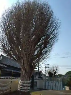 子守神社(千葉県)