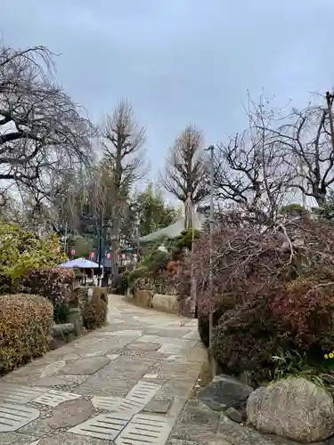 妙法寺（おおくら大佛）(東京都)