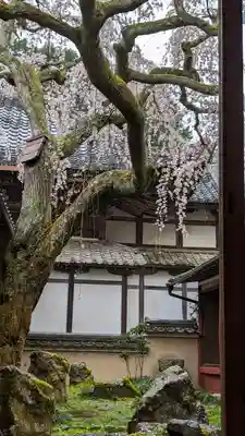 十輪寺(京都府)