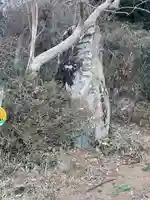 八雲稲荷神社祭礼御旅所(栃木県)