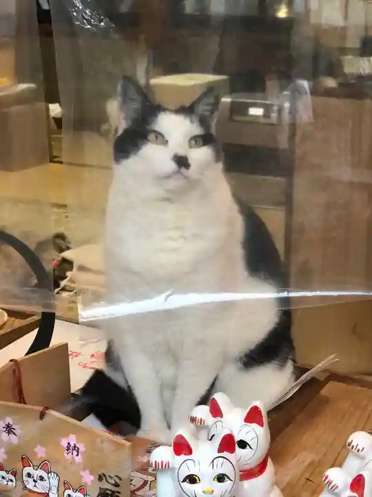 王子神社の動物