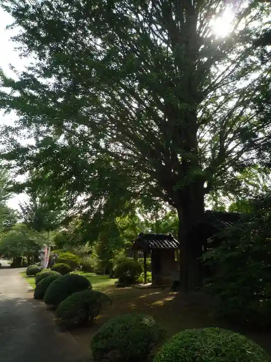 泉倉寺(千葉県)
