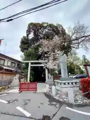 岩槻久伊豆神社(埼玉県)