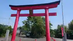 白笹稲荷神社の鳥居