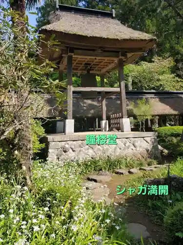 大雄寺(栃木県)