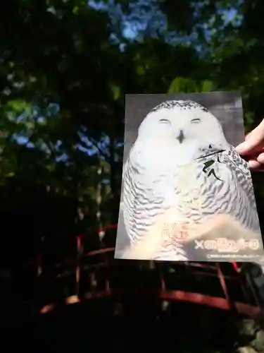 普門寺(切り絵御朱印発祥の寺)の御朱印