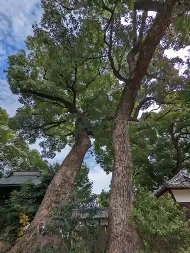 常磐神社(京都府)