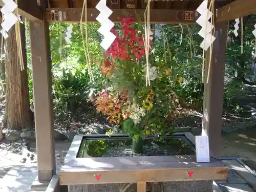 赤坂氷川神社の手水