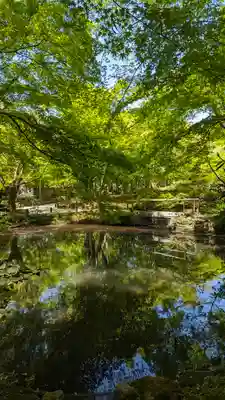 圓光寺(京都府)