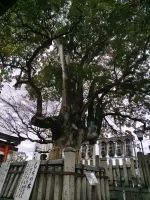 満足稲荷神社の{uncategorized: "未分類", other: "その他", undefined: "問題あり", building: "その他建物", grave: "お墓", sacred_gate: "鳥居", guardian: "狛犬", statue: "像", buddha: "仏像", history: "歴史", nature: "自然", garden: "庭園", animal: "動物", pagoda: "塔", temizu: "手水舎", mountain_gate: "山門・神門", sanctuary: "本殿・本堂", subordinate: "末社・摂社", art: "芸術", scenery: "景色", jizo: "地蔵", ema: "絵馬", goshuin: "御朱印", omikuji: "おみくじ", items: "授与品その他", amulet: "お守り", goshuincho: "御朱印帳", eats: "食事", festival: "お祭り", votive_dance: "神楽", shichigosan: "七五三参", wedding: "結婚式", experience: "体験その他", initially: "初詣", around: "周辺", anti_infection: "感染症対策"}