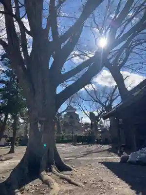松本神社(長野県)