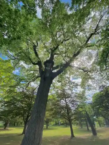 厚別神社(北海道)