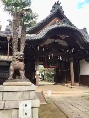 観音寺（世田谷山観音寺）の狛犬