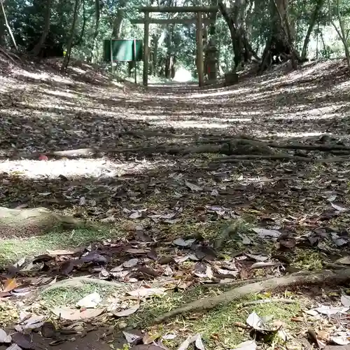 沼尾神社の自然