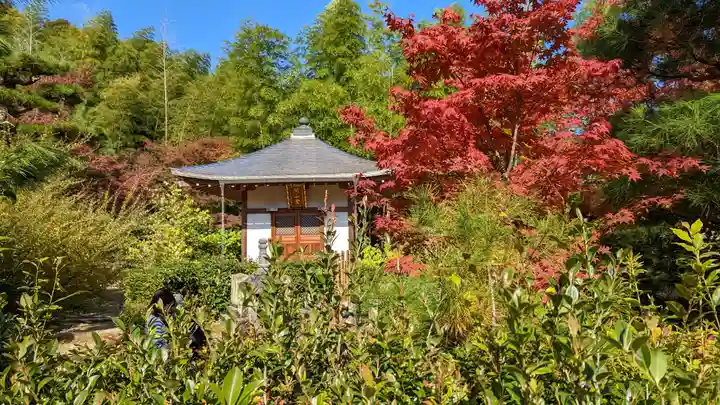 常寂光寺(京都府)