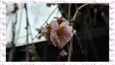 湯島天満宮(東京都)