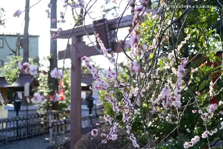 亀ケ池八幡宮のその他建物