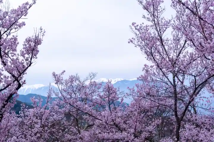 新城藤原神社(長野県)