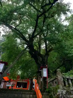 伊那下神社(静岡県)