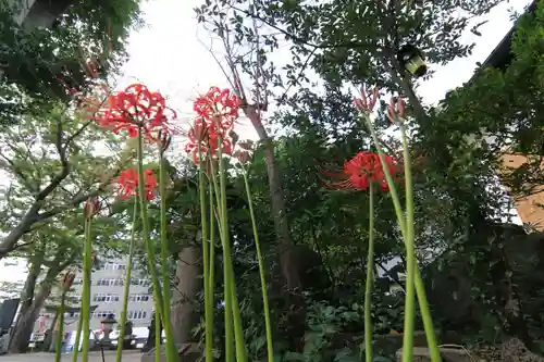 阿邪訶根神社の庭園