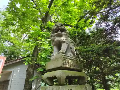 東神楽神社の狛犬