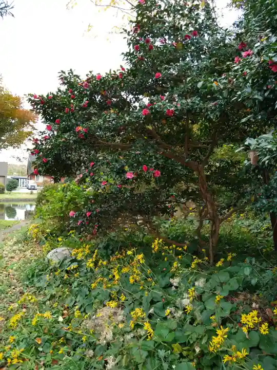 鎮懐石八幡宮(福岡県)