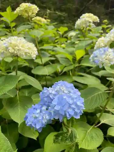 曽我浅間神社の自然