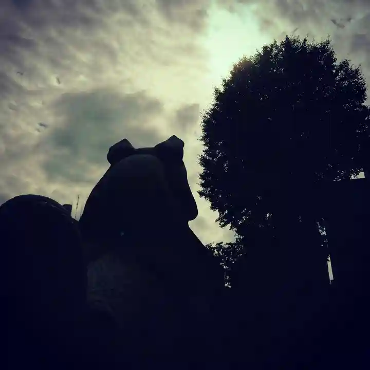 神田神社(神田明神)の狛犬