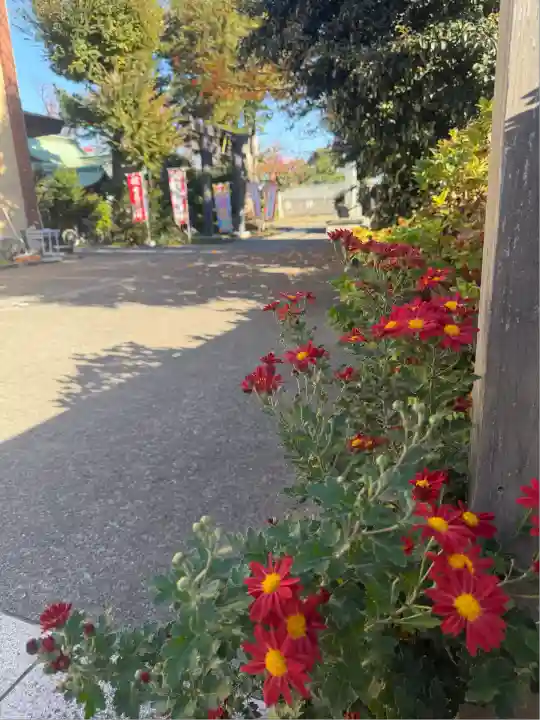 鷺宮八幡神社(東京都)
