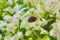 海龍王寺(奈良県)