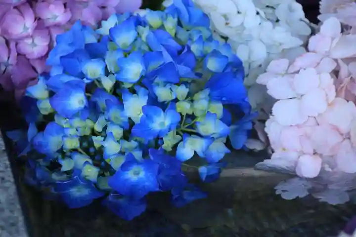 豊景神社の手水舎