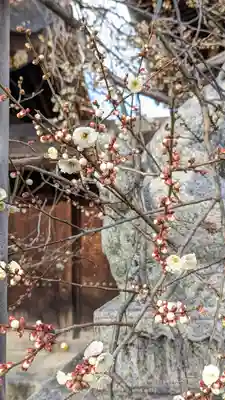 北野天満宮(京都府)