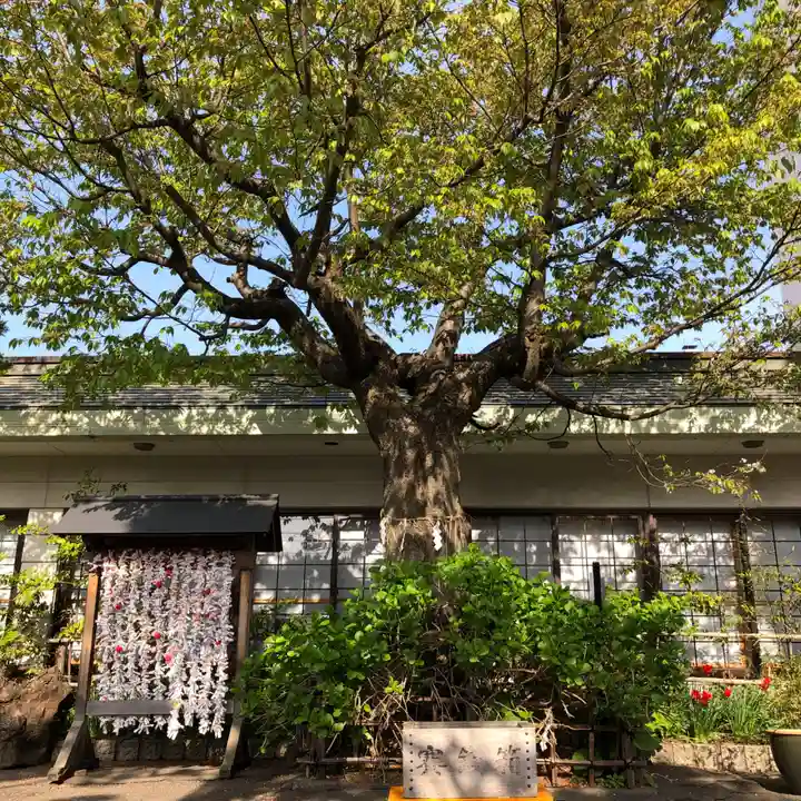 廣田神社~病厄除守護神~(青森県)