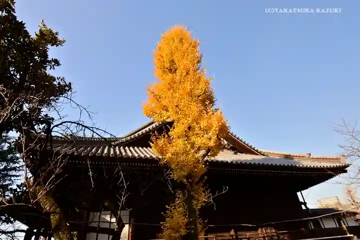 寛永寺(根本中堂)の本殿・本堂