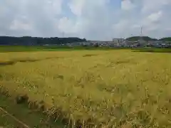 鶴峯八幡宮(千葉県)