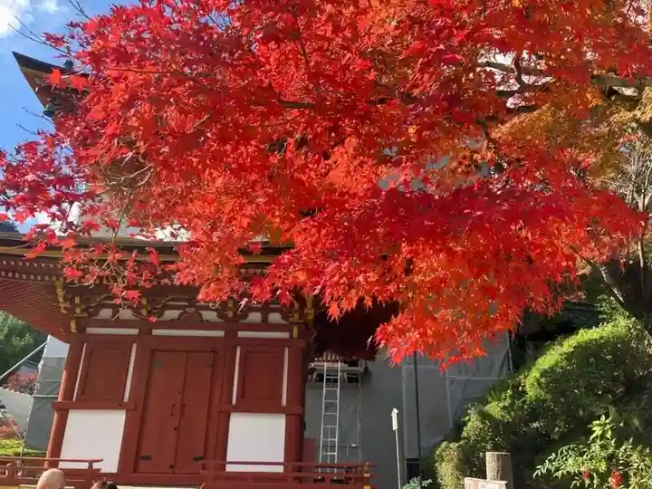 善峯寺(京都府)