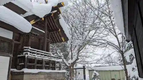 比布神社の自然