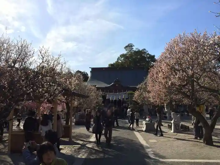 綱敷天満宮(福岡県)
