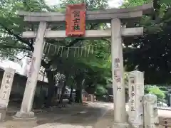 駒込富士神社の鳥居